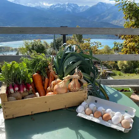La Ferme Du Riouclar Pensjonat